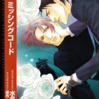  ����� Missing Code <small>Story</small> 